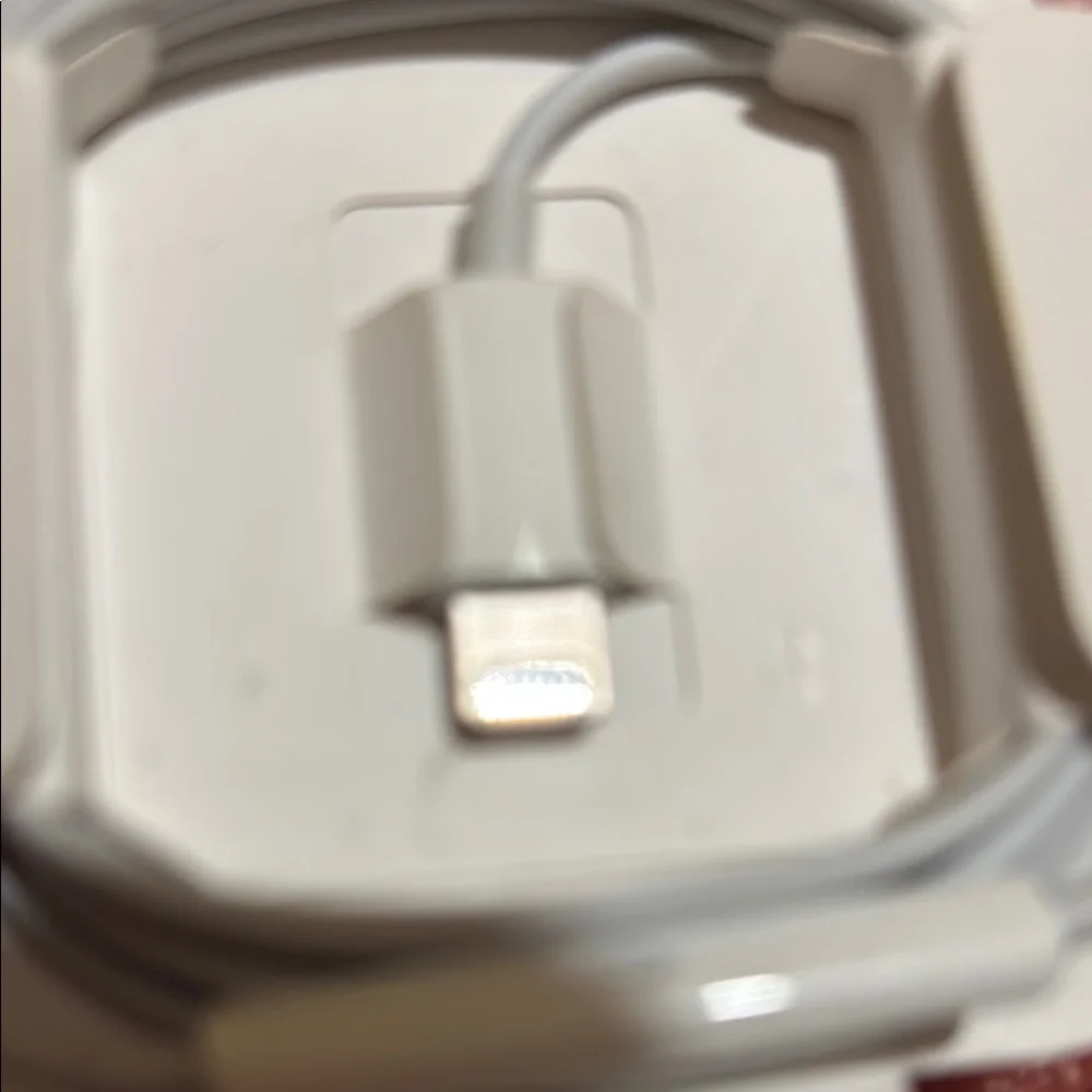 White Wired Earbuds